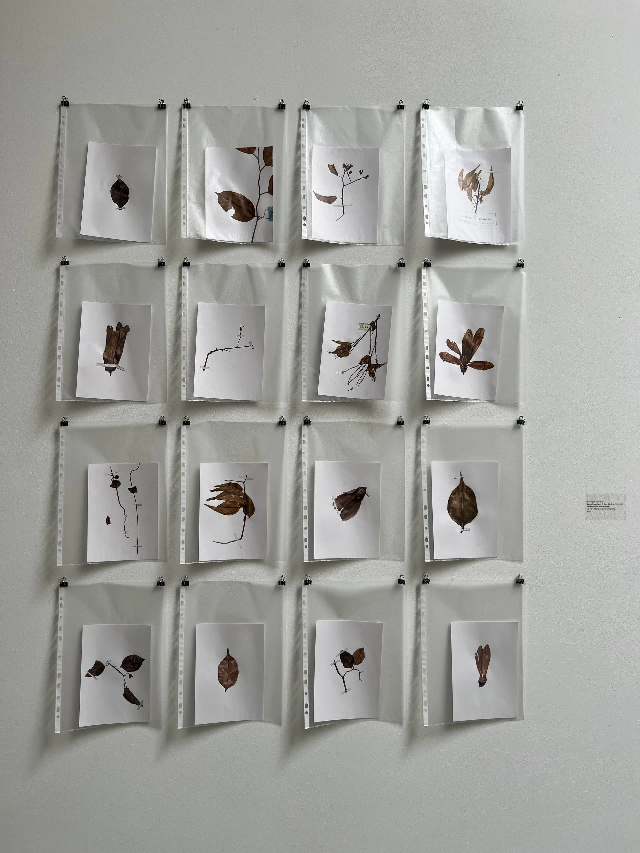 documenta fifteen, Kassel 2022