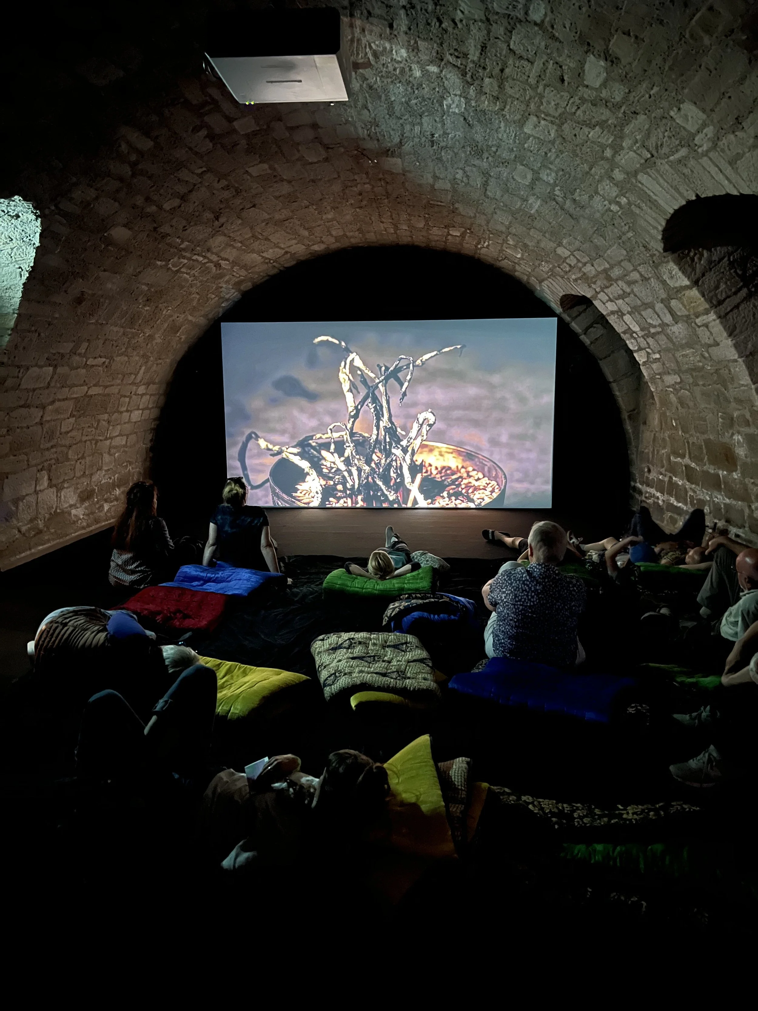 Saodat Ismailova, documenta fifteen
