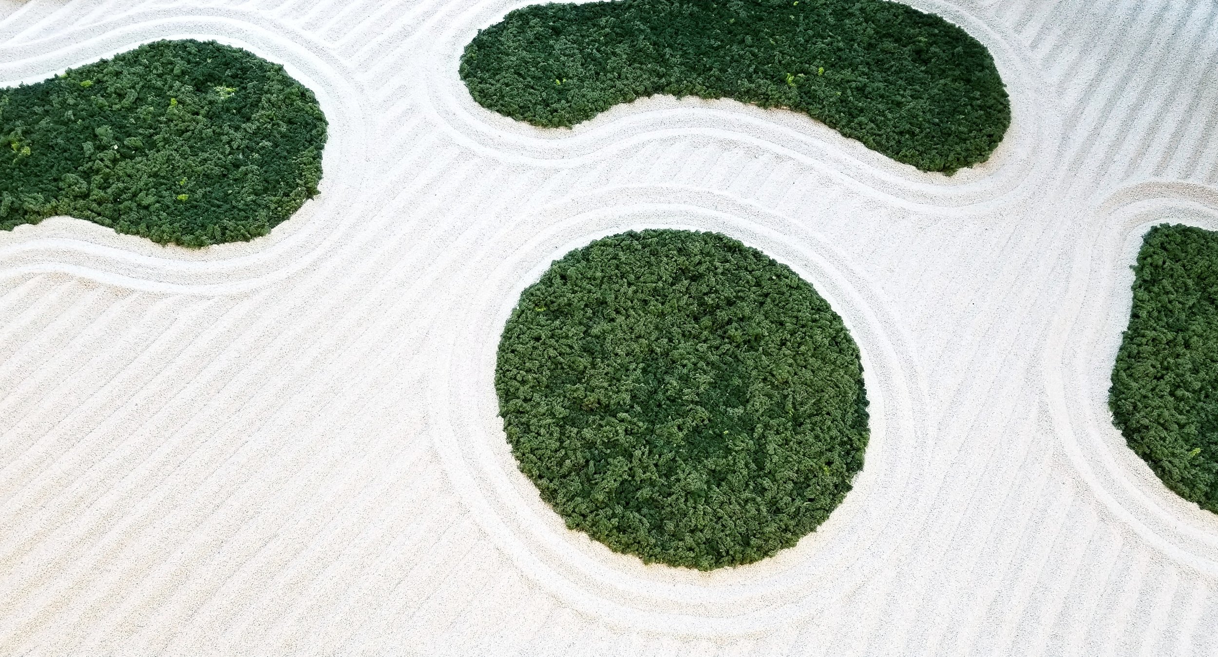 Japanese dry garden